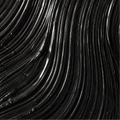 Black Wing
