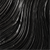 Black Wing